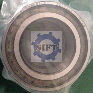 INA SL04 5009 PP BEARING 300x300 - INA SL04 5009-PP