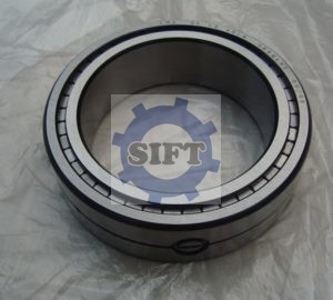 INA SL18 4918 Bearing 300x270 - INA SL18 4918