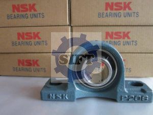 NSK UCP206D1