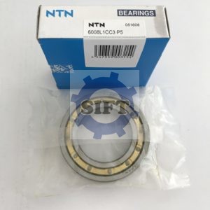 NTN 6008L1CC3P5 Bearings 300x300 - NTN 6008L1CC3P5