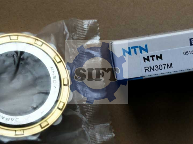 NTN RN307M