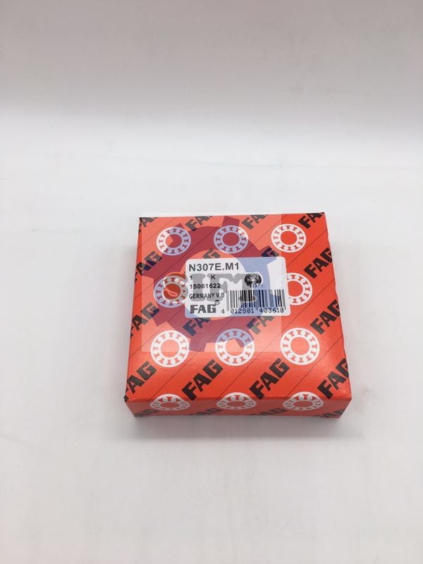 FAG N307E-M1 FAG N307E-M1